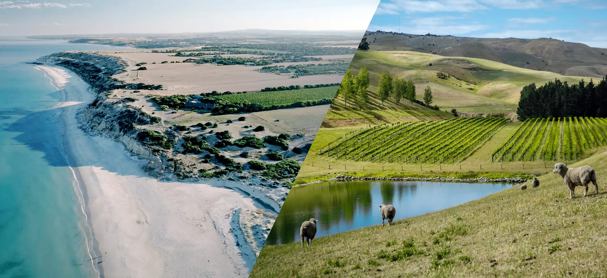 Australia and New Zealand Trade Tasting 2027 Banner