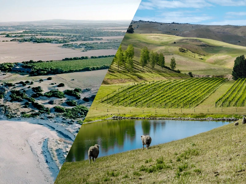 Australia and New Zealand Trade Tasting 2027 Banner
