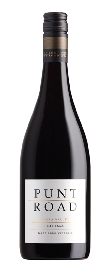 Shiraz   2023