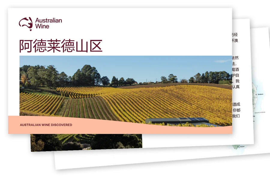 a field of yellow plants