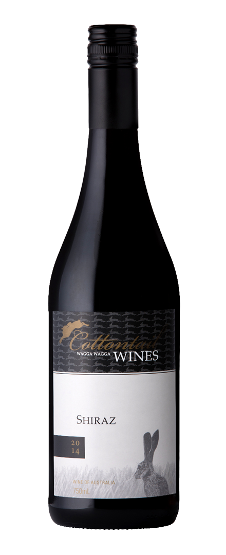 Shiraz   2017