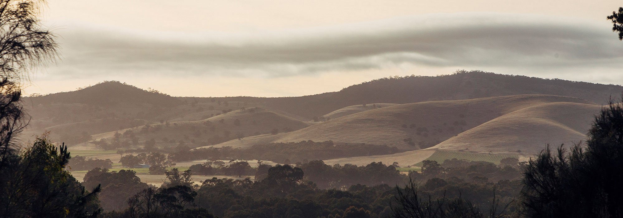 Hills in Barossa Valley