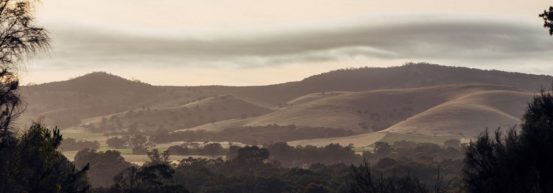 Hills in Barossa Valley