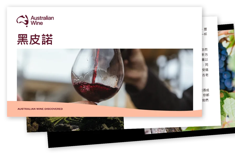 a person pouring wine into a glass