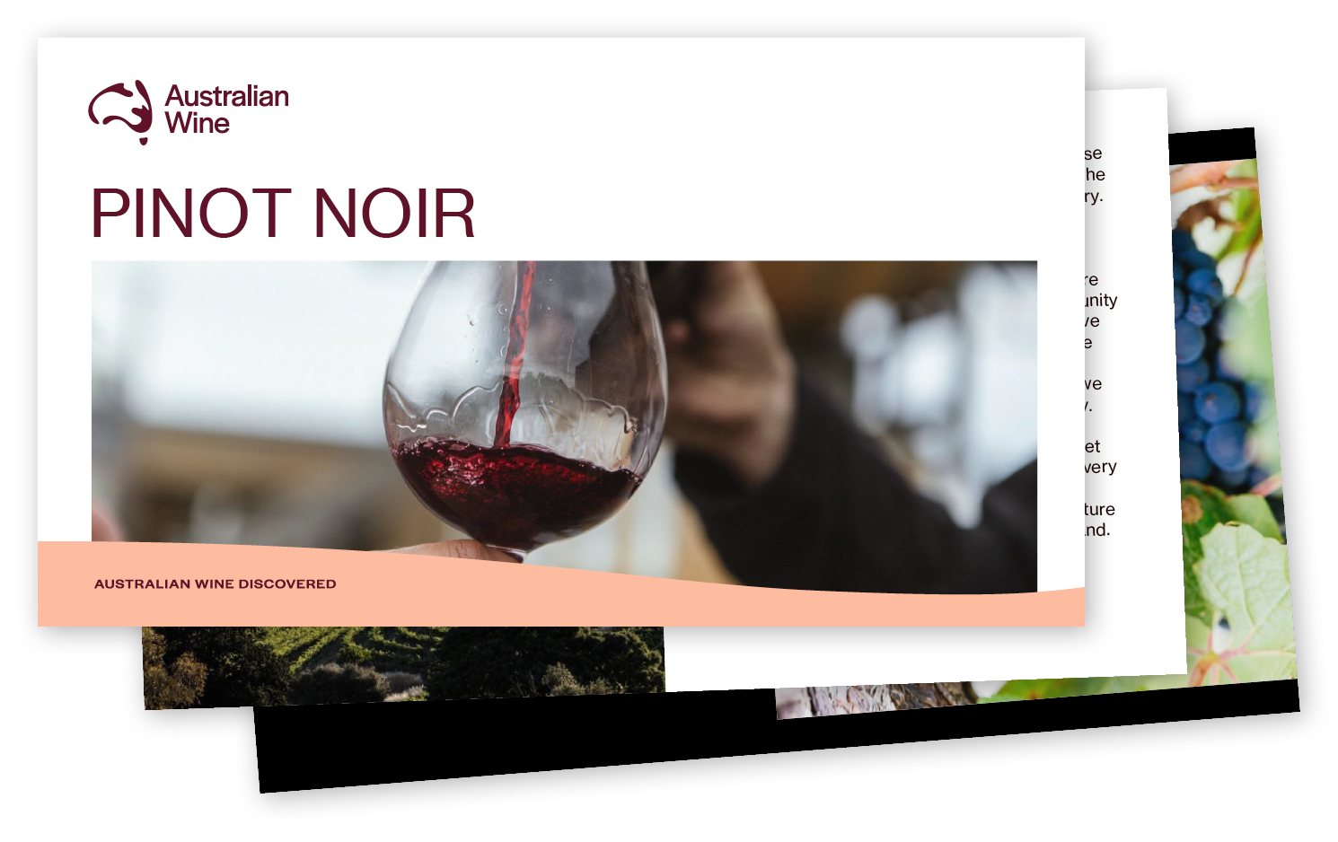 a person pouring wine into a glass