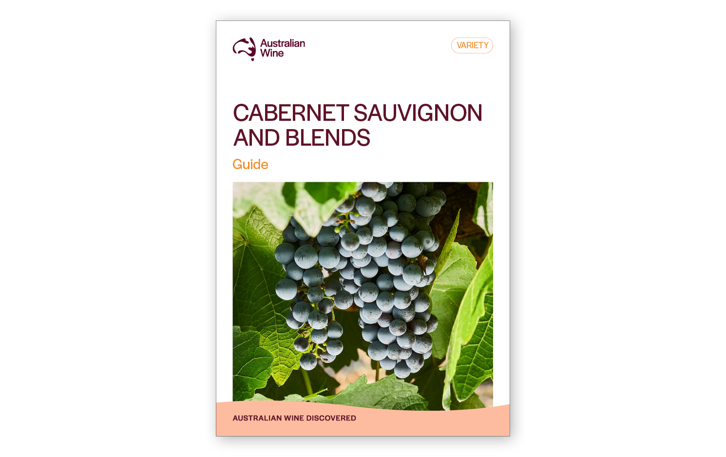 a book cover with grapes on a vine