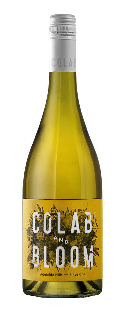 Pinot Gris   2021