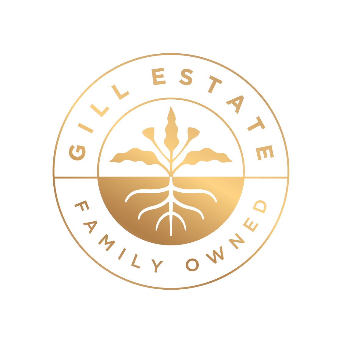 20311_Logo.png