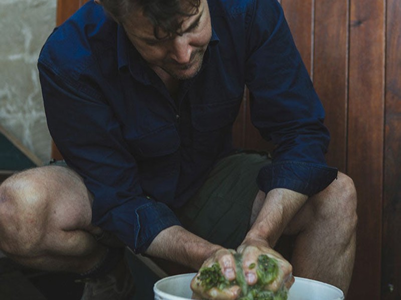 Nathan Kinzbrunner hand crushing green grapes