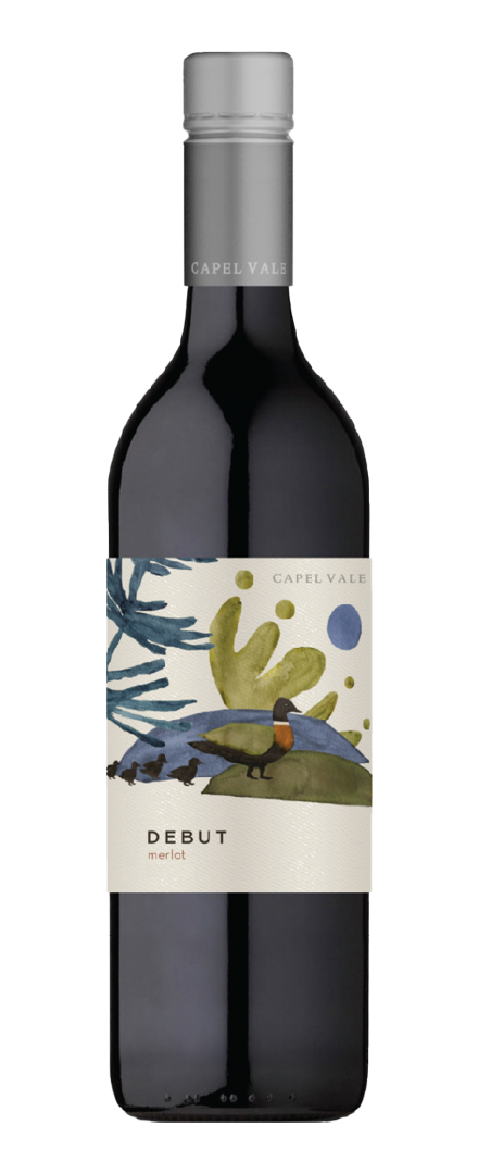 Debut Merlot   2021