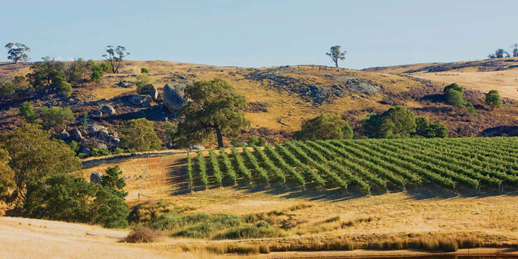 Strathbogie Ranges