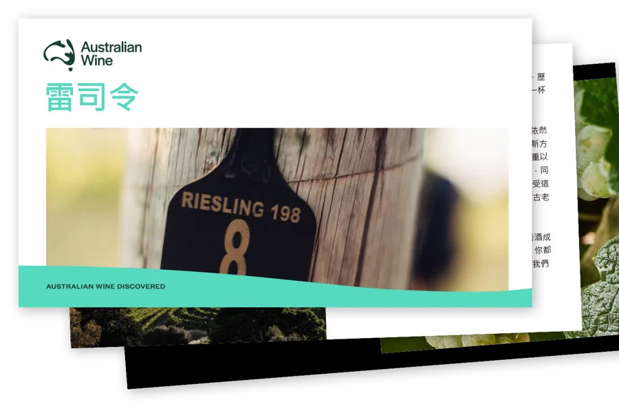 a screenshot of a video