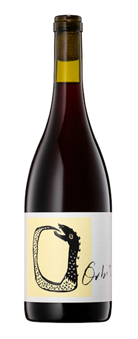 Light Red Blend Shiraz Tempranillo  2024