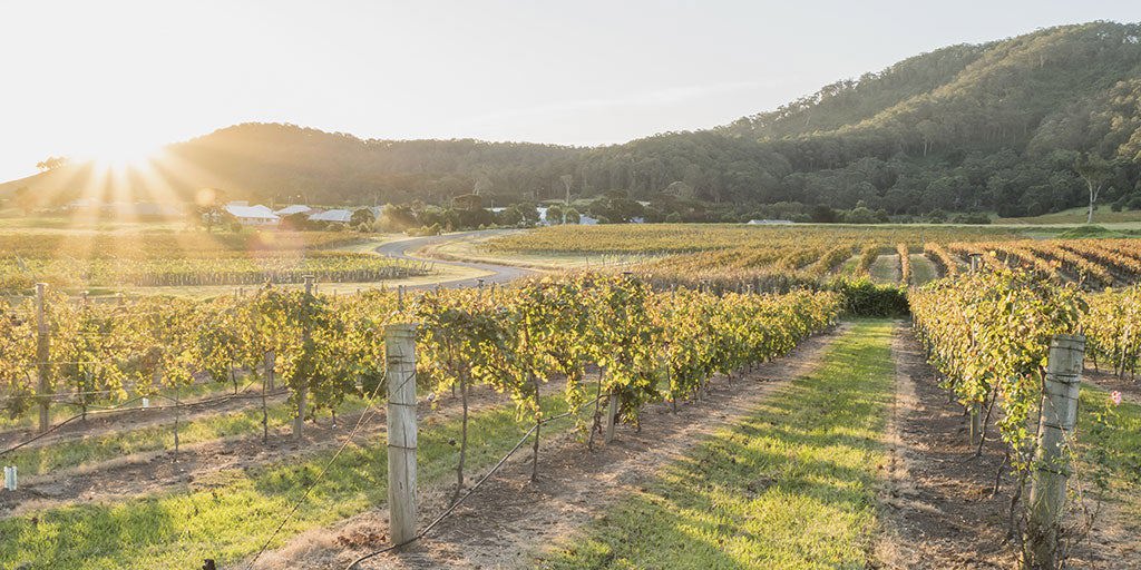 Shoalhaven Coast: A refreshing take on Australian wine