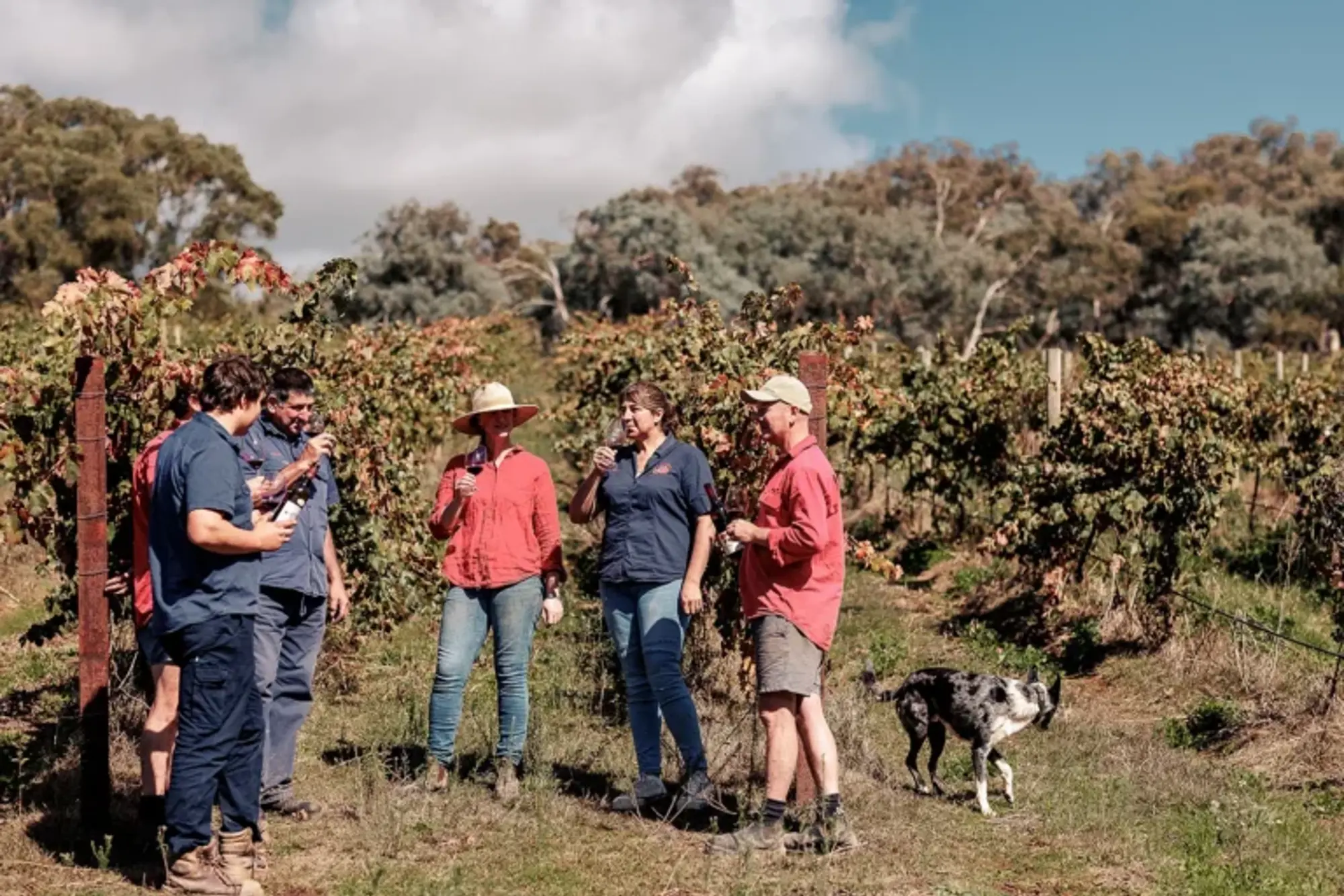 a group of people standing in a field with a dog