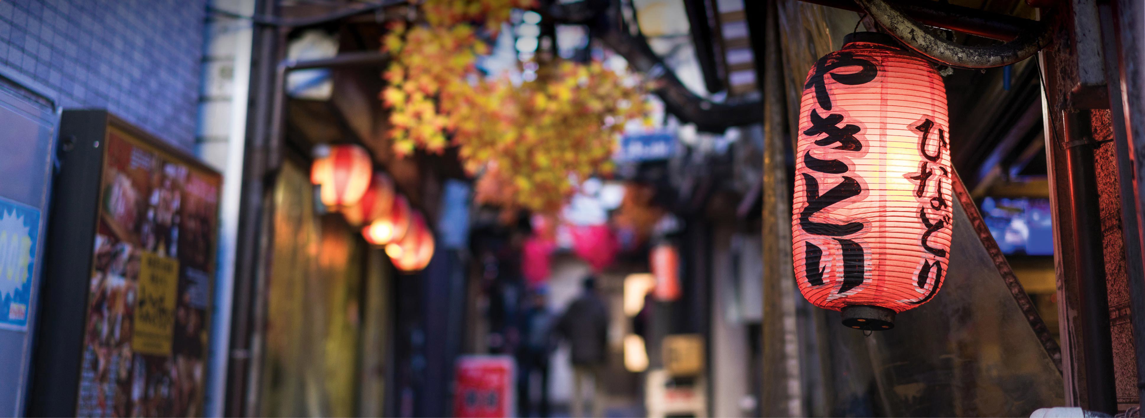 Seeking Distribution - Japan