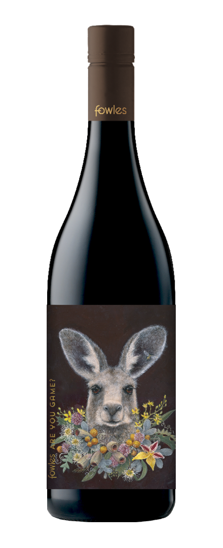Are you Game? Shiraz   2018
