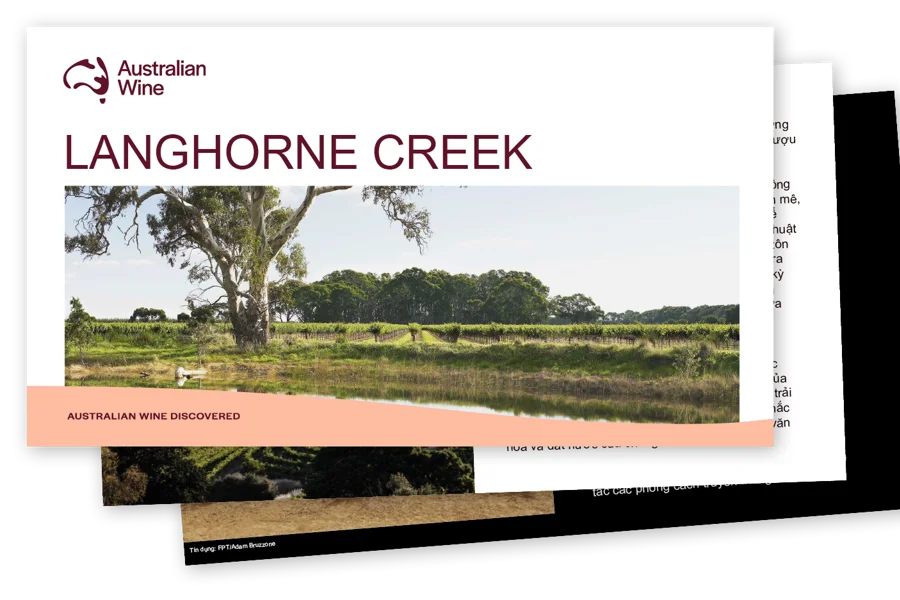 a screenshot of a computer