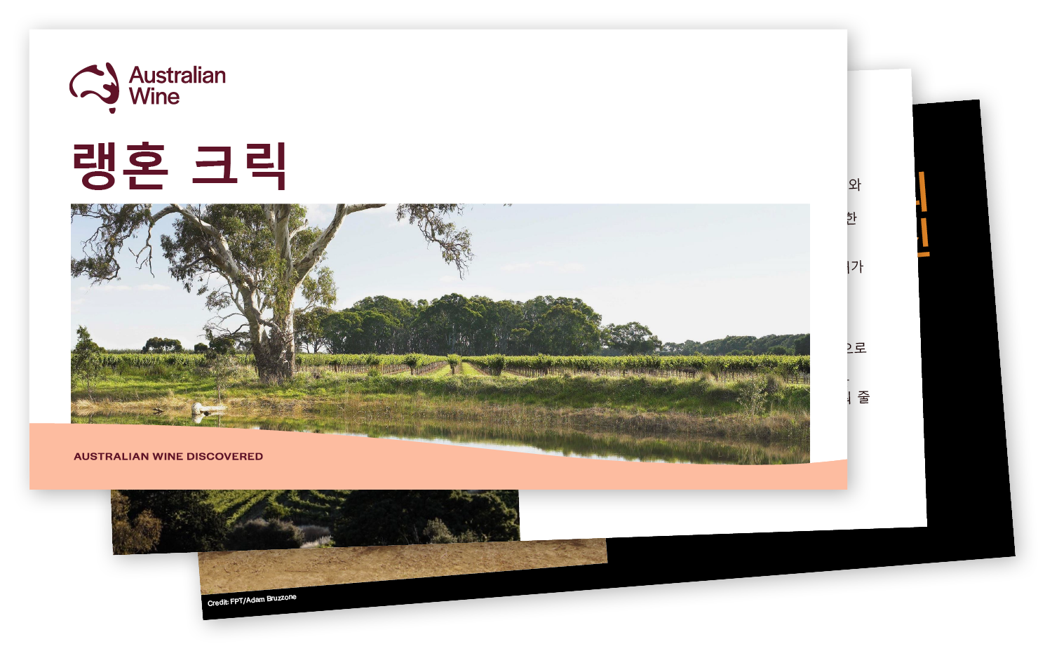 a screenshot of a computer screen