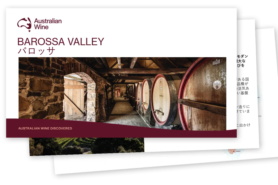 a screenshot of a photo of a wine cellar