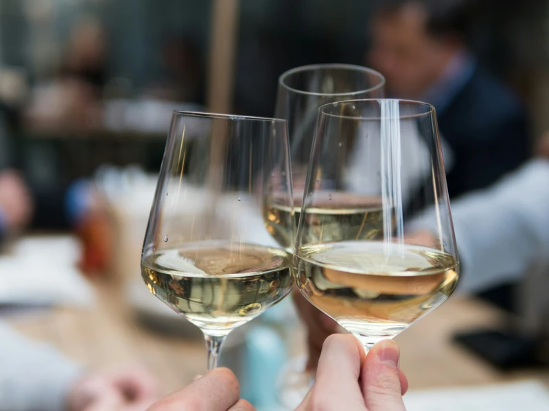 a group of people holding wine glasses
