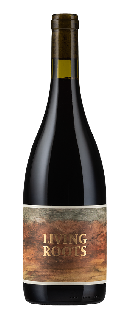 Pinot Noir   2022
