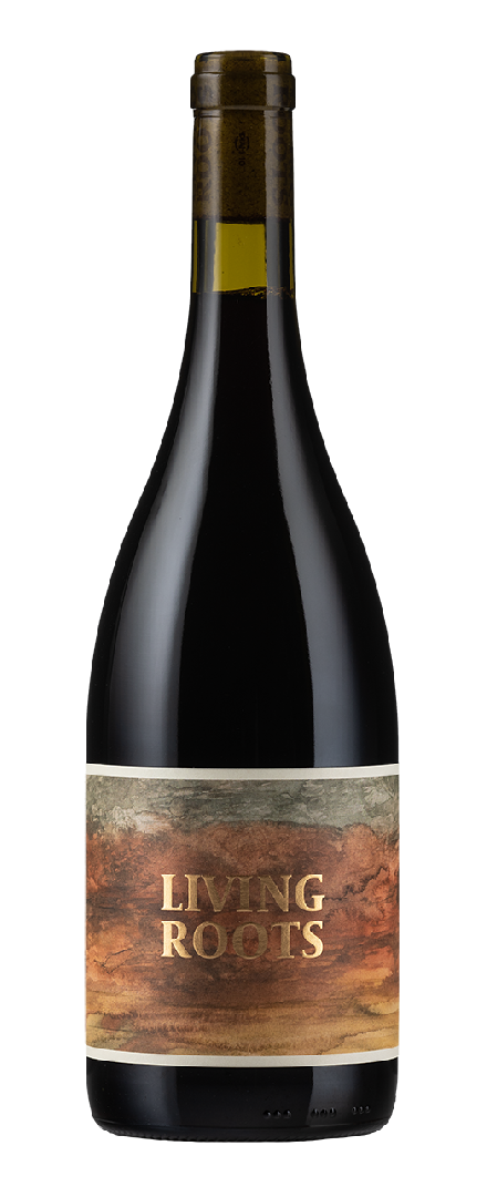 Grenache   2022