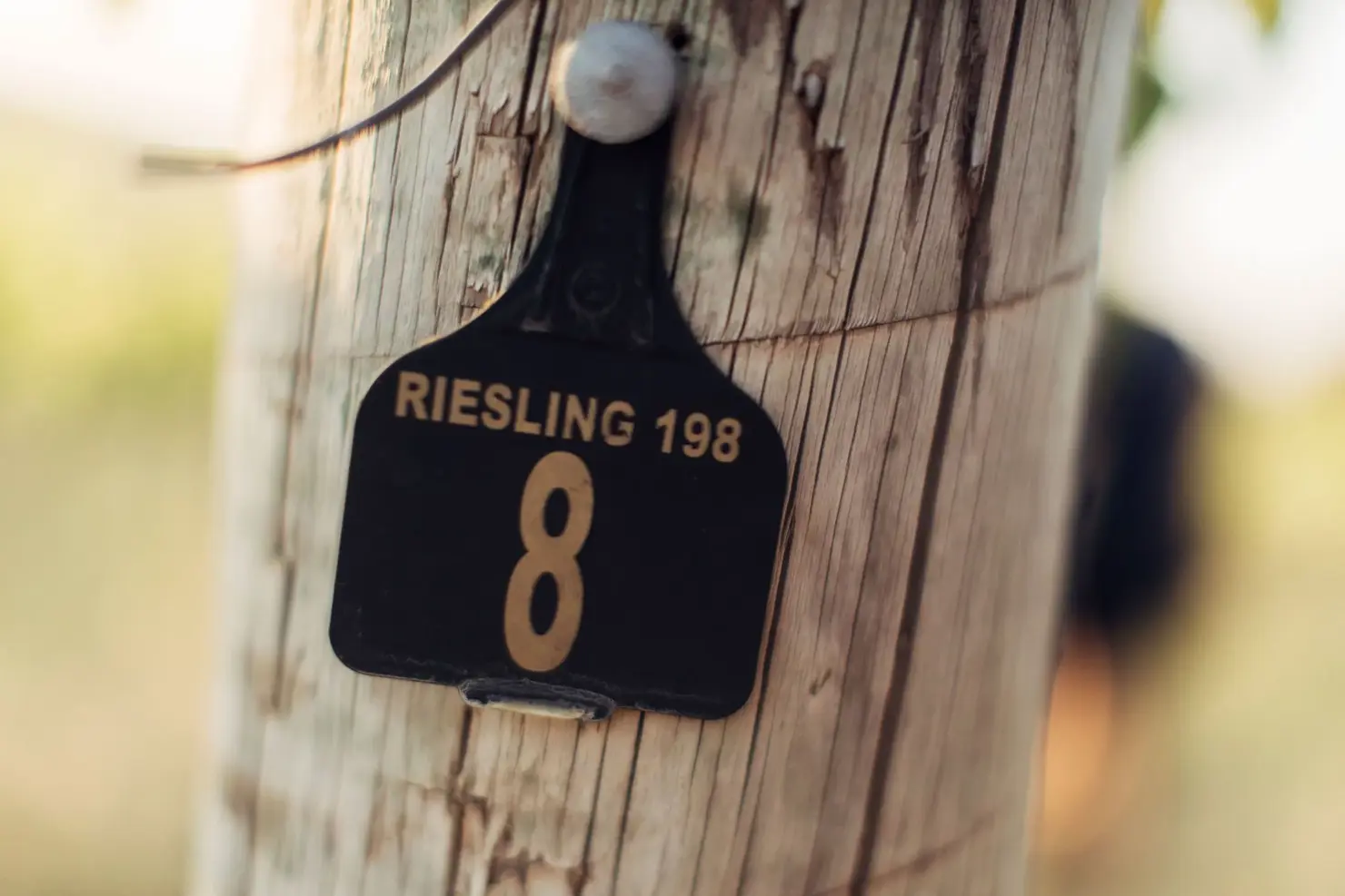 a black and gold sign on a wooden pole