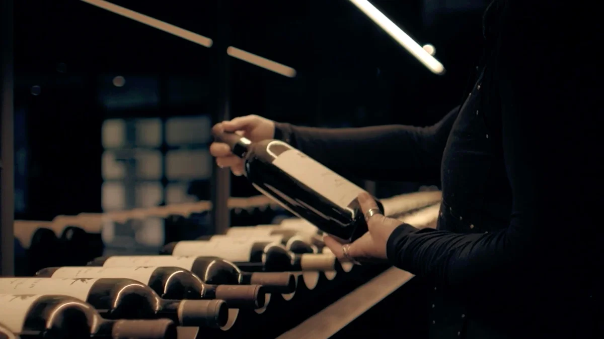 a person holding a bottle of wine