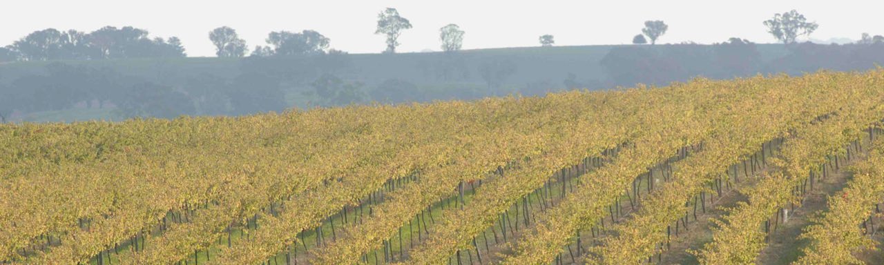 Map highlighting the Hilltops wine region