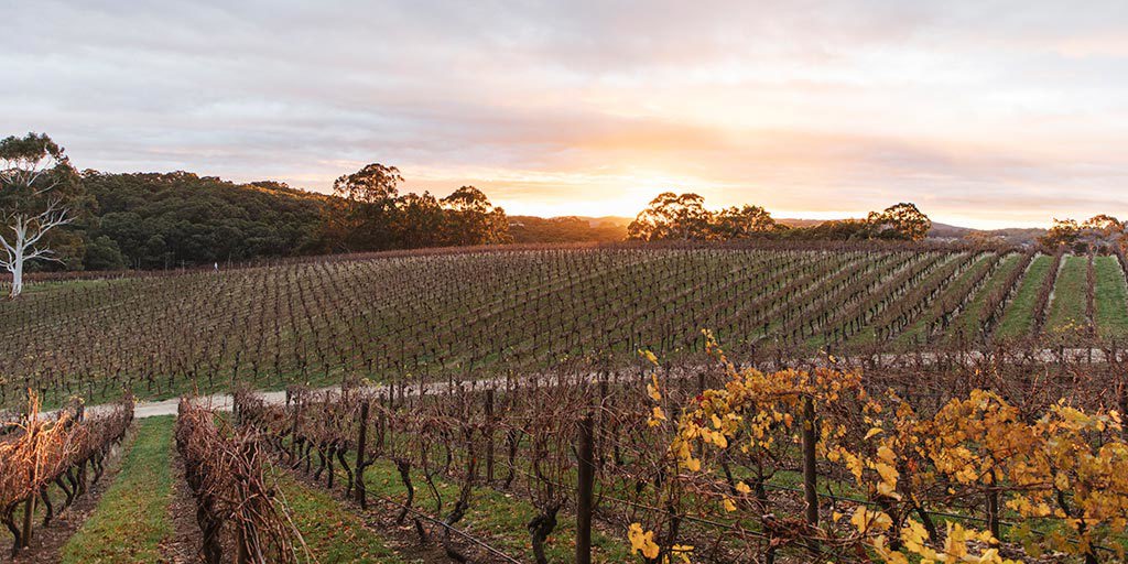 Adelaide Hills