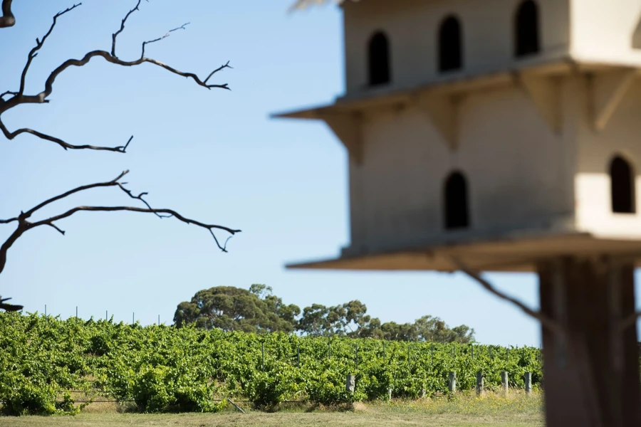 Yangarra Estate Vineyard, McLaren Vale, SA