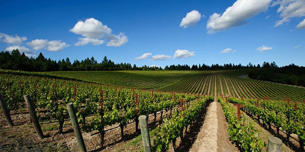 Mount Benson 