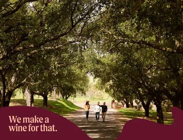 a group of people walking on a path under trees