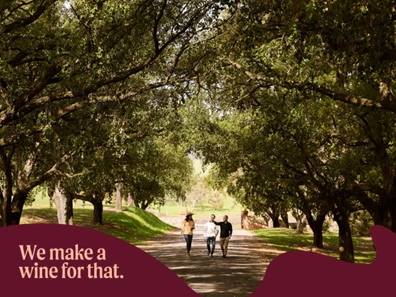 a group of people walking on a path under trees
