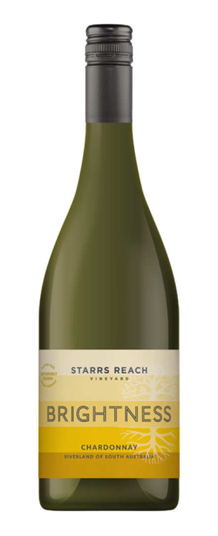 Brightness Chardonnay   2023