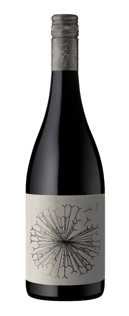 Lion's Tooth of McLaren Vale Shiraz   2023