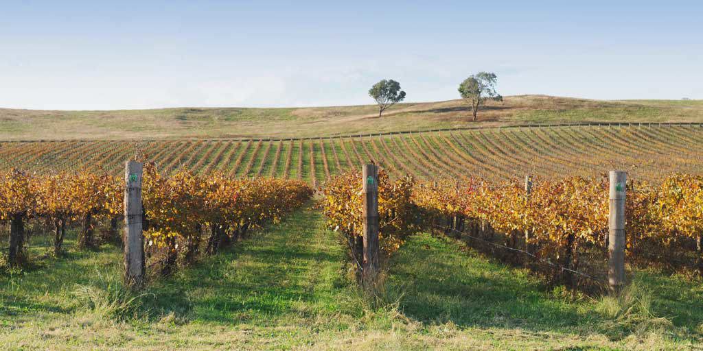 Mudgee