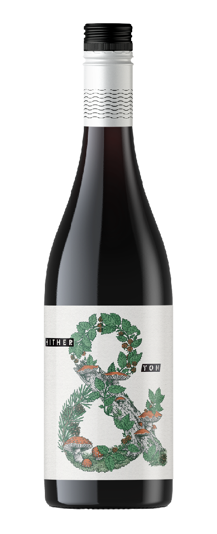 Pinot Noir   2024