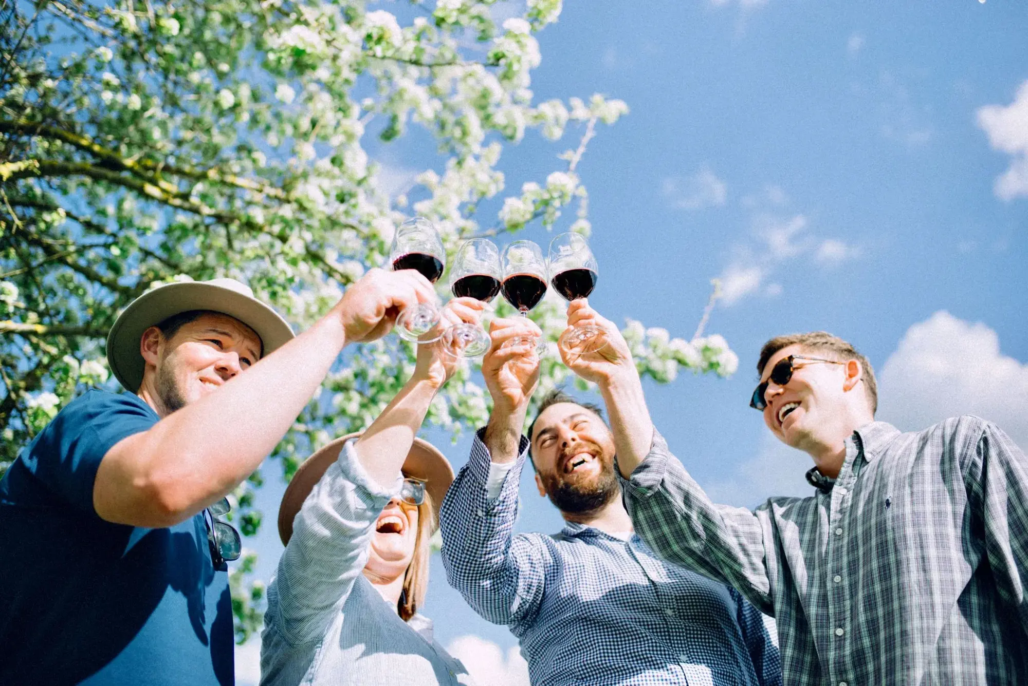 a group of people clinking glasses with wine