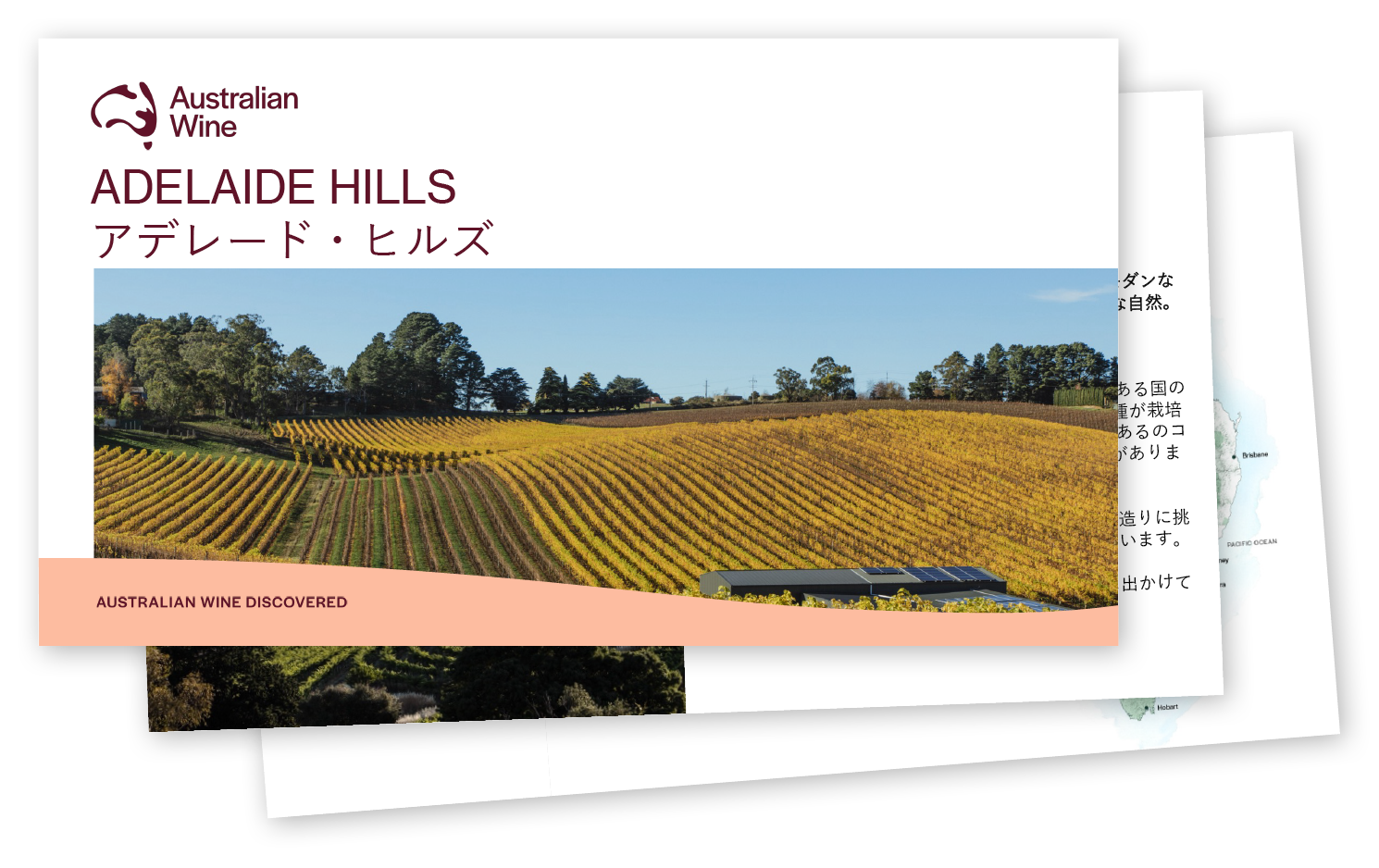 a landscape of a vineyard