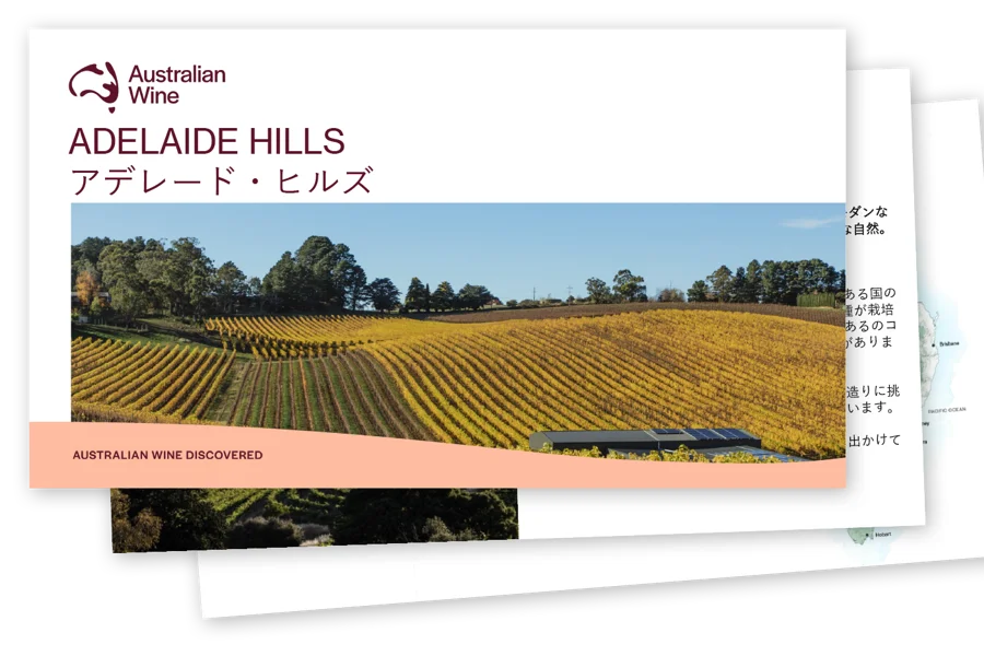 a landscape of a vineyard