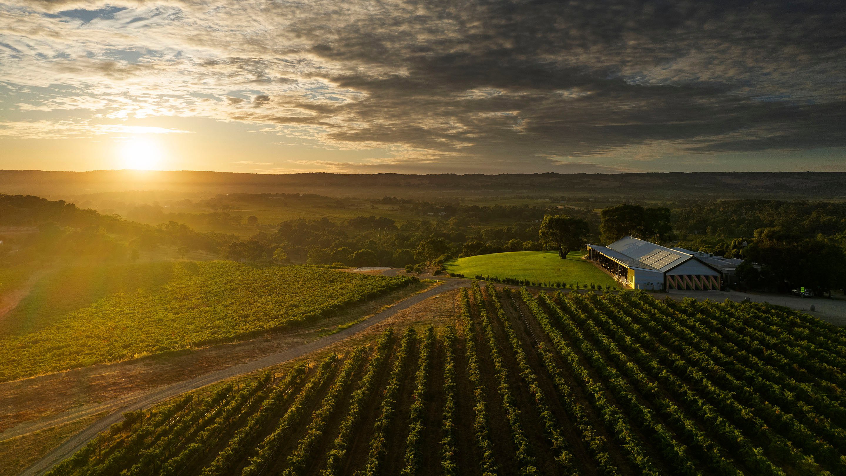 Chalk Hill Wines