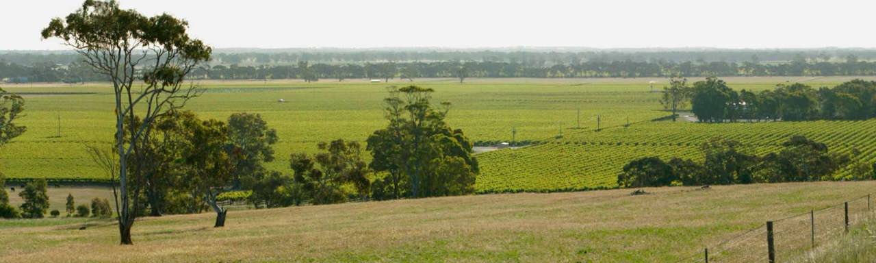 Map highlighting the Padthaway wine region