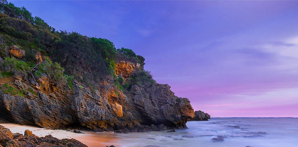 Boutique Coastal Bounty Forging Ahead