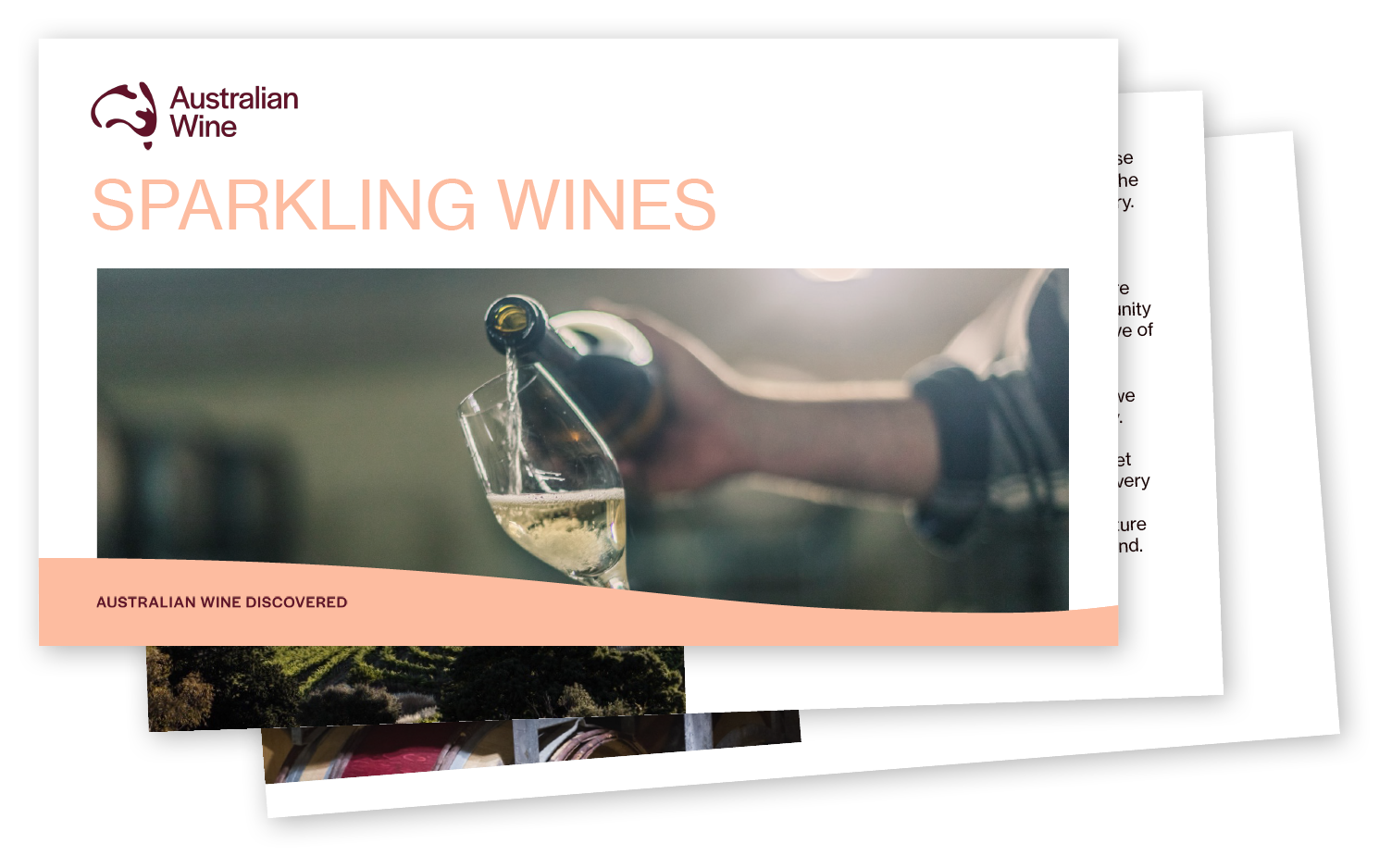 a person pouring wine into a glass