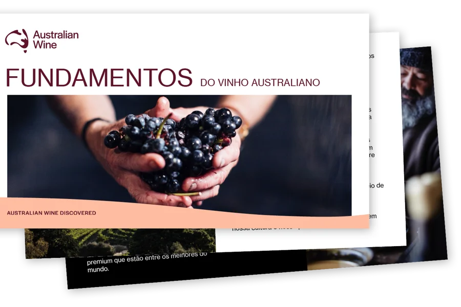 AWD Presentation Thumb Foundations Portuguese