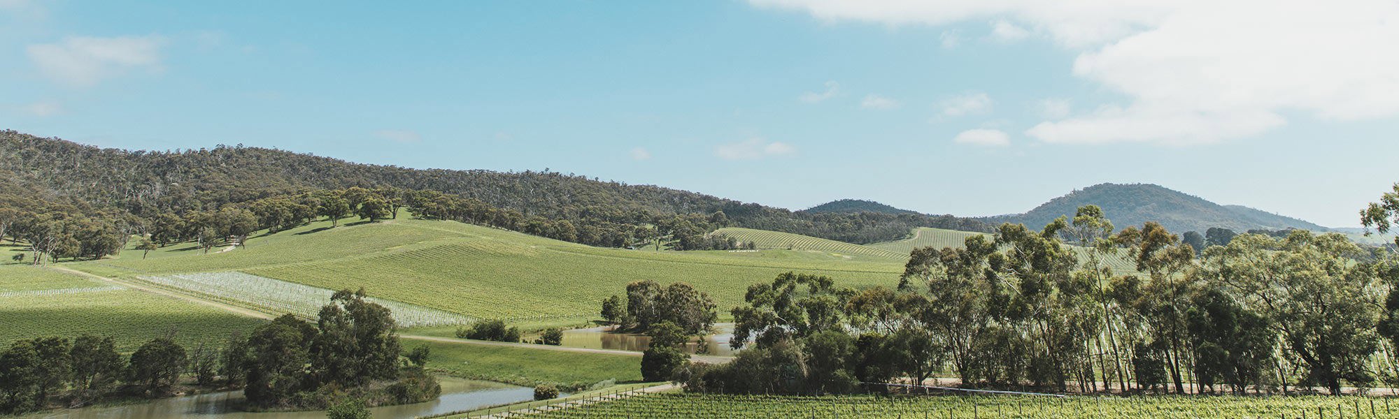De Bortoli vineyards