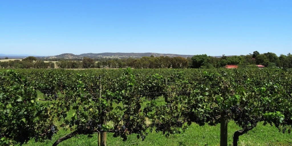 Glenrowan 