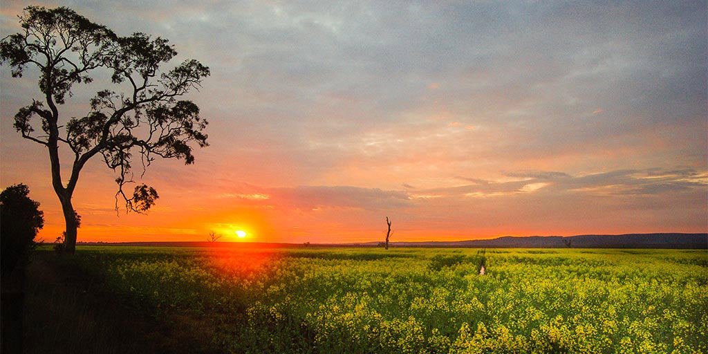 Gippsland: Adventurers in our most diverse wine region